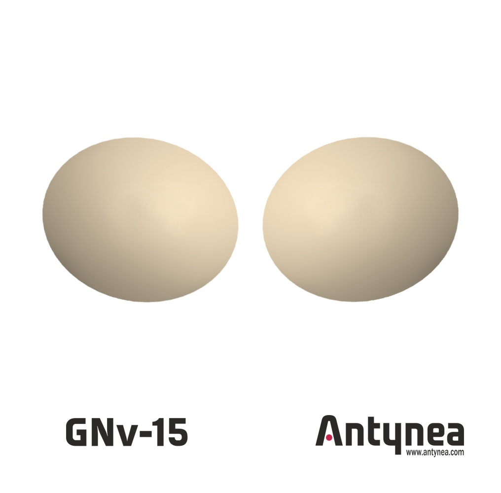 Чашки корсетные GNv-15
